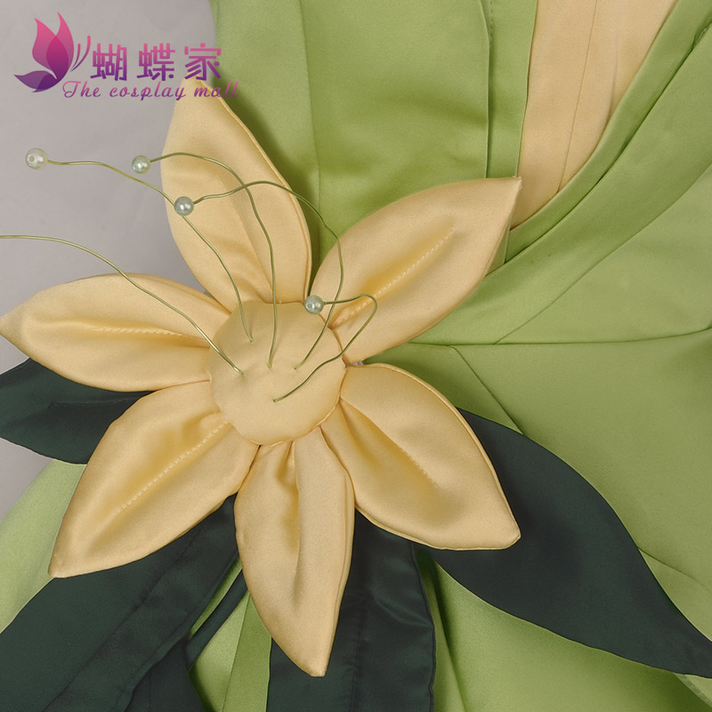 Princess Tiana Dress Cosplay C - Women Accessories Aesthetic 评论和价格